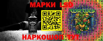 spice Краснокаменск